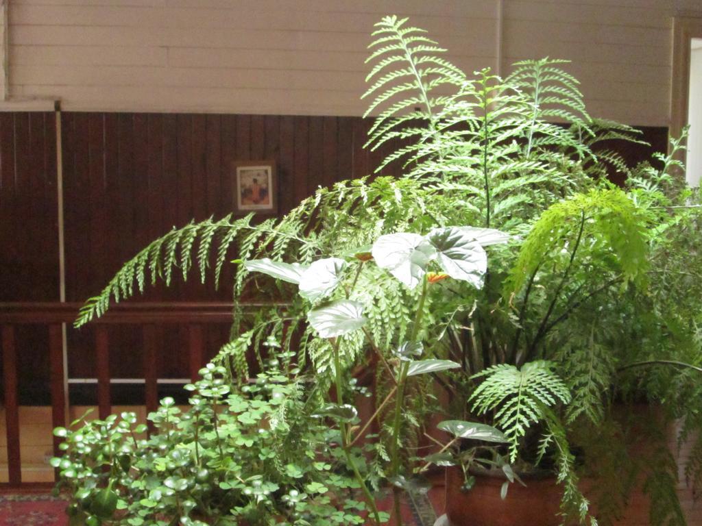 Hostal Patrimonial Angelmo Puerto Montt Exteriér fotografie